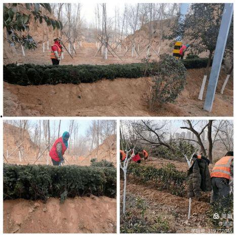 黄河公园爆料事件视频,惊现惊人一幕，网友热议不断  第3张