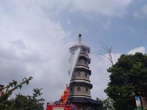 玉圭园最新爆料视频大全,揭秘神秘古园的奇幻之旅  第3张