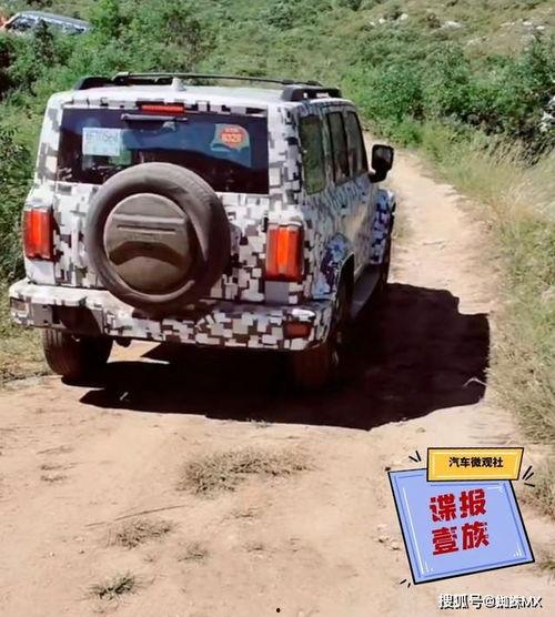 坦克汽车最新爆料,揭秘最新爆料背后的科技革新  第2张