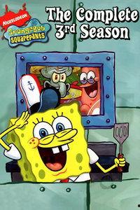 海绵宝宝爆料视频大全,揭秘比基尼海滩的欢乐秘密  第3张