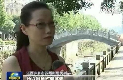 丹东都市爆料新闻视频,最新视频揭露惊人内幕  第3张