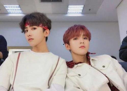 圈内爆料招同台刘耀文,圈内爆料引粉丝热议  第3张