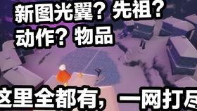 光遇下个季节物品爆料最新,神秘物品揭秘，探索未知领域  第2张